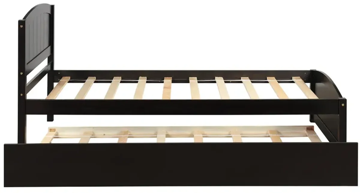 Minimalistic Wood Platform Bed with Trundle