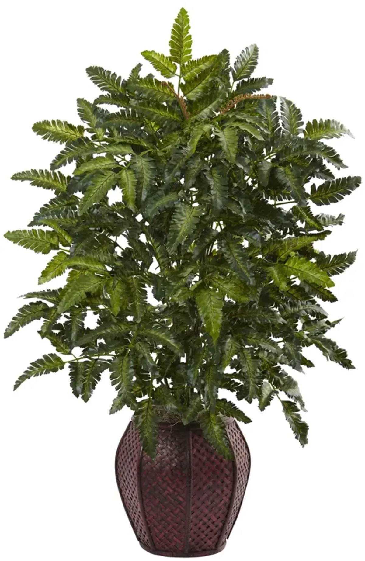 Hivvago Bracken Fern with Decorative Planter