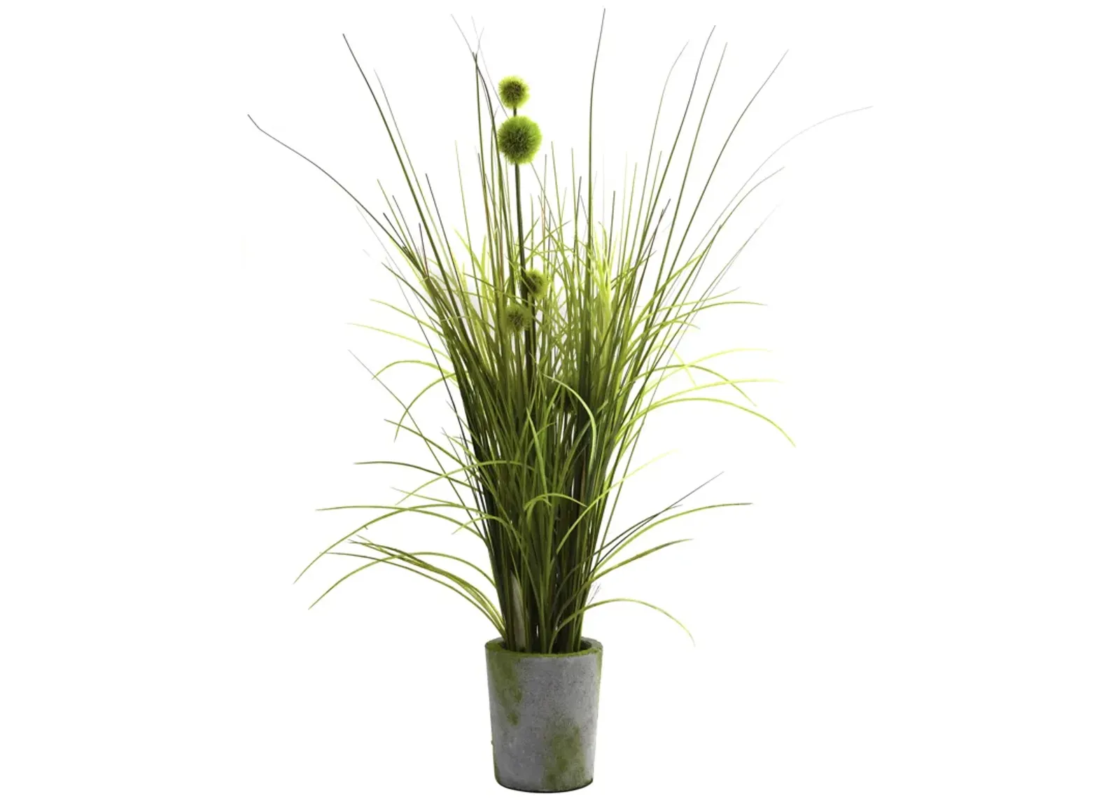 HomPlanti Grass & Dandelion w/Cement Planter