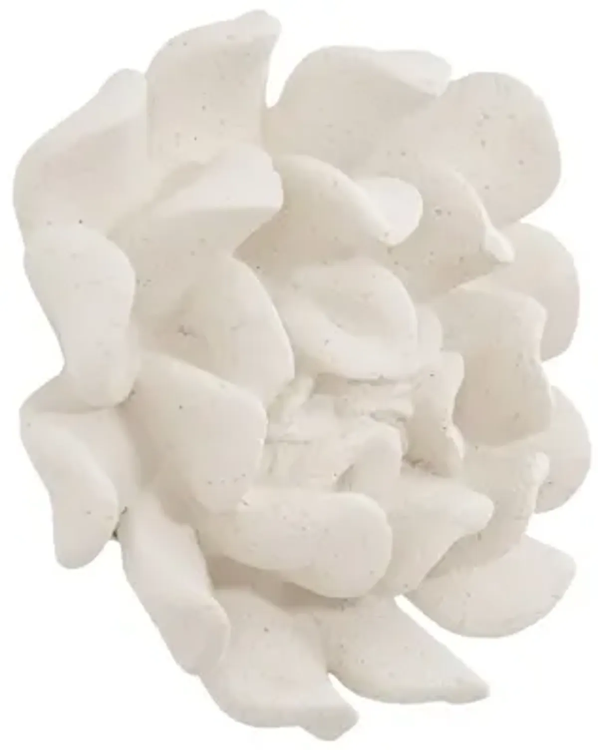 Topsy Turvy Succulent Wall Art in White Stone