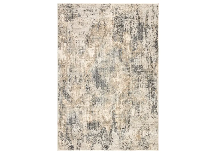 Cirque Ramsey Gray 9'2" x 11'9" Rug