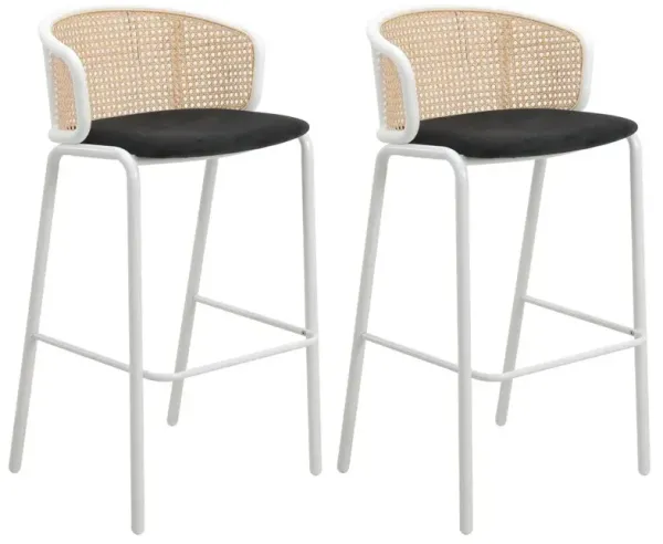 LeisureMod Seat and White Powder Coated Steel Frame, Set of 2