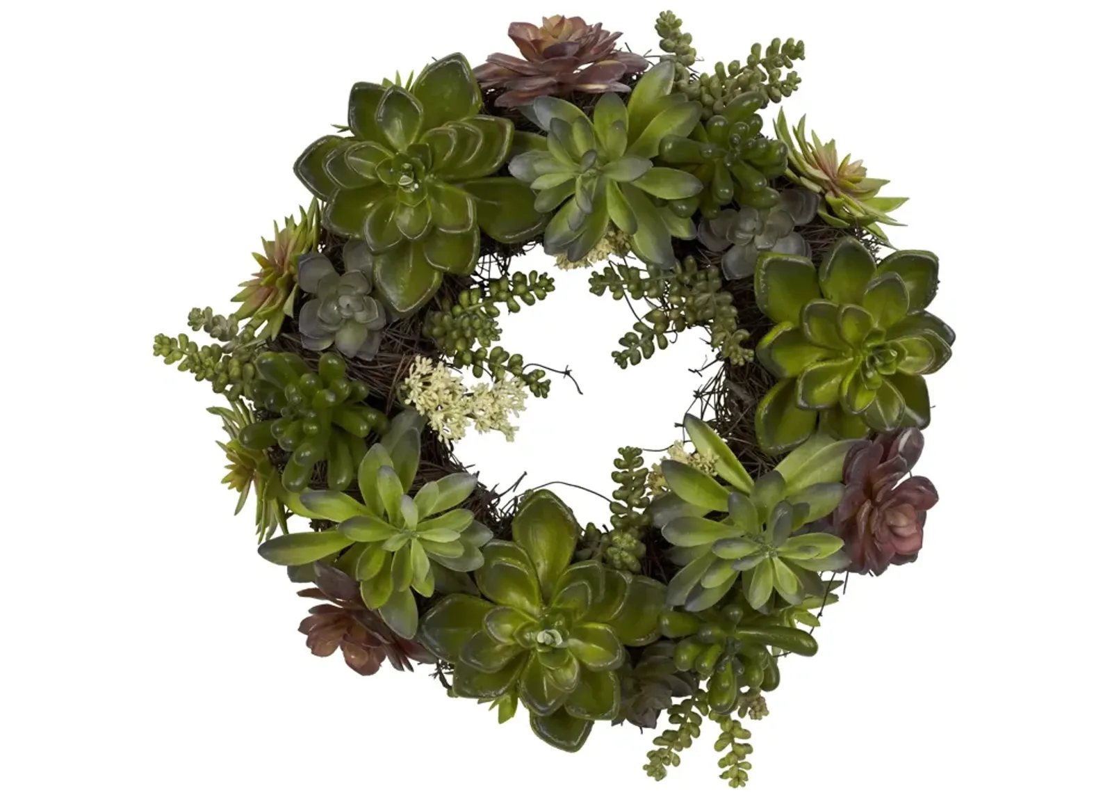 HomPlanti 20" Succulent Wreath