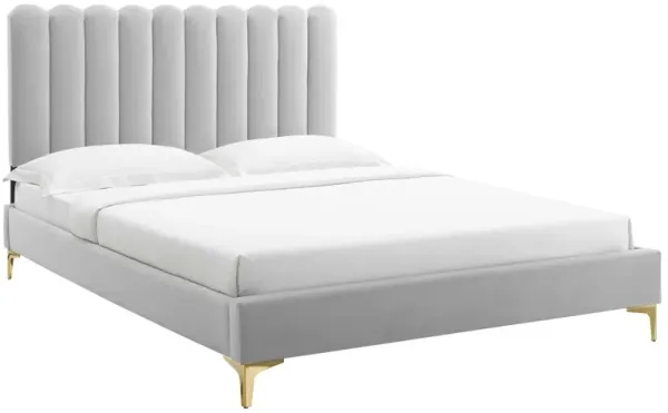 Modway - Reagan King Performance Velvet Platform Bed