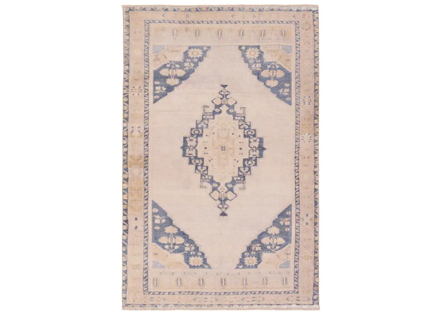 Lumal Debolo Tan/Taupe 8'6" x 11'9" Rug