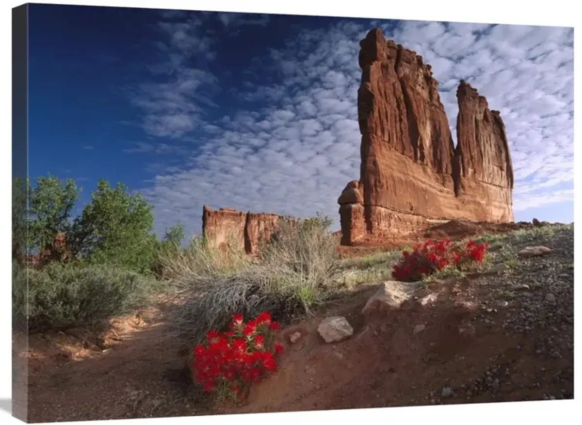 Paintbrush and the Organ Rock, Arches National Park, Utah-Canvas Art-32x24