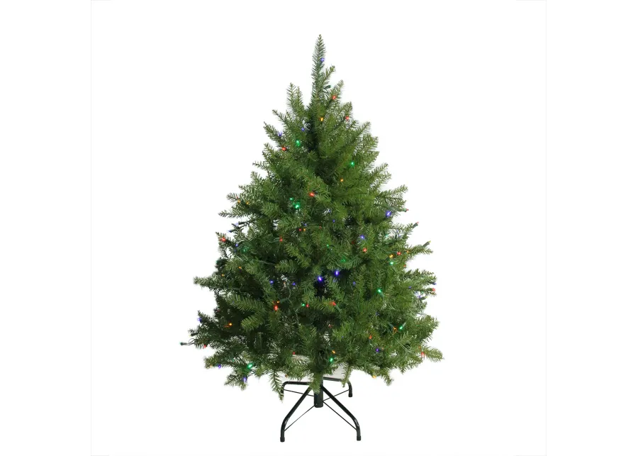 4' Pre-Lit Full Northern Pine Artificial Christmas Tree - Multicolor LED Lights