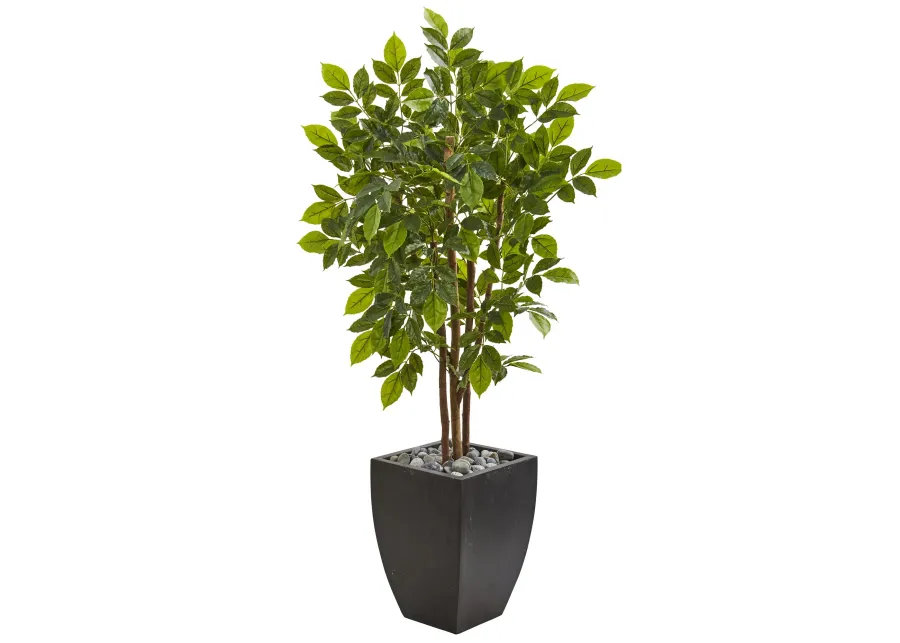 HomPlanti 57 Inches River Birch Artificial Tree in Black Planter