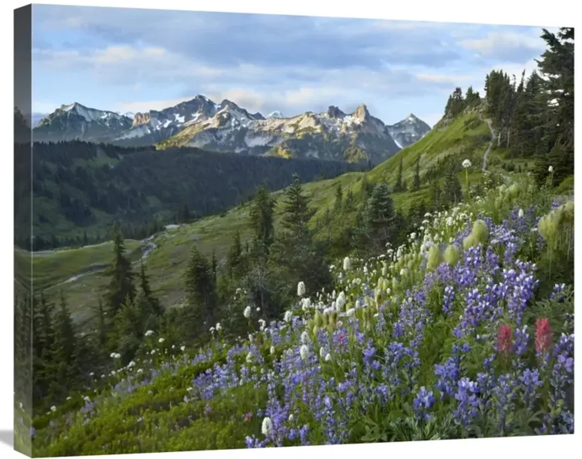 Wildflowers and Tatoosh Range, Mount Rainier National Park, Washington-Canvas Art-28x22