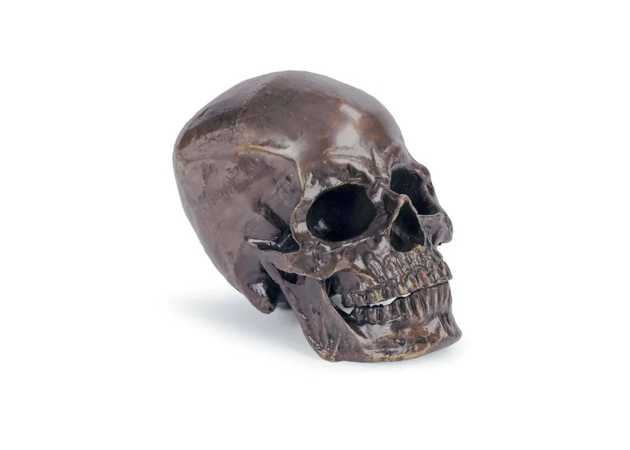 Metal Skull