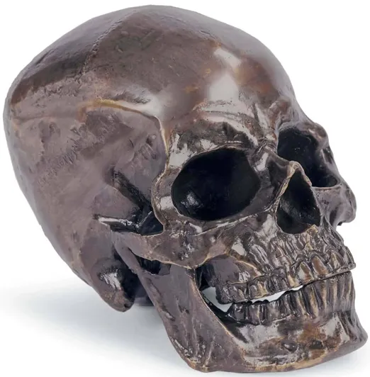 Metal Skull