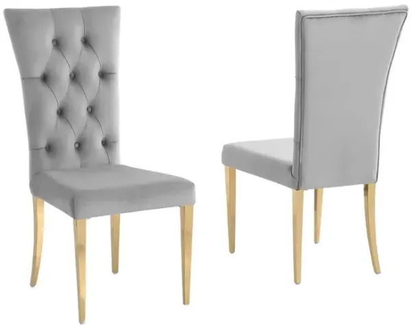 Danis Grey Velvet with Gold Dining Chairs, Set of 2