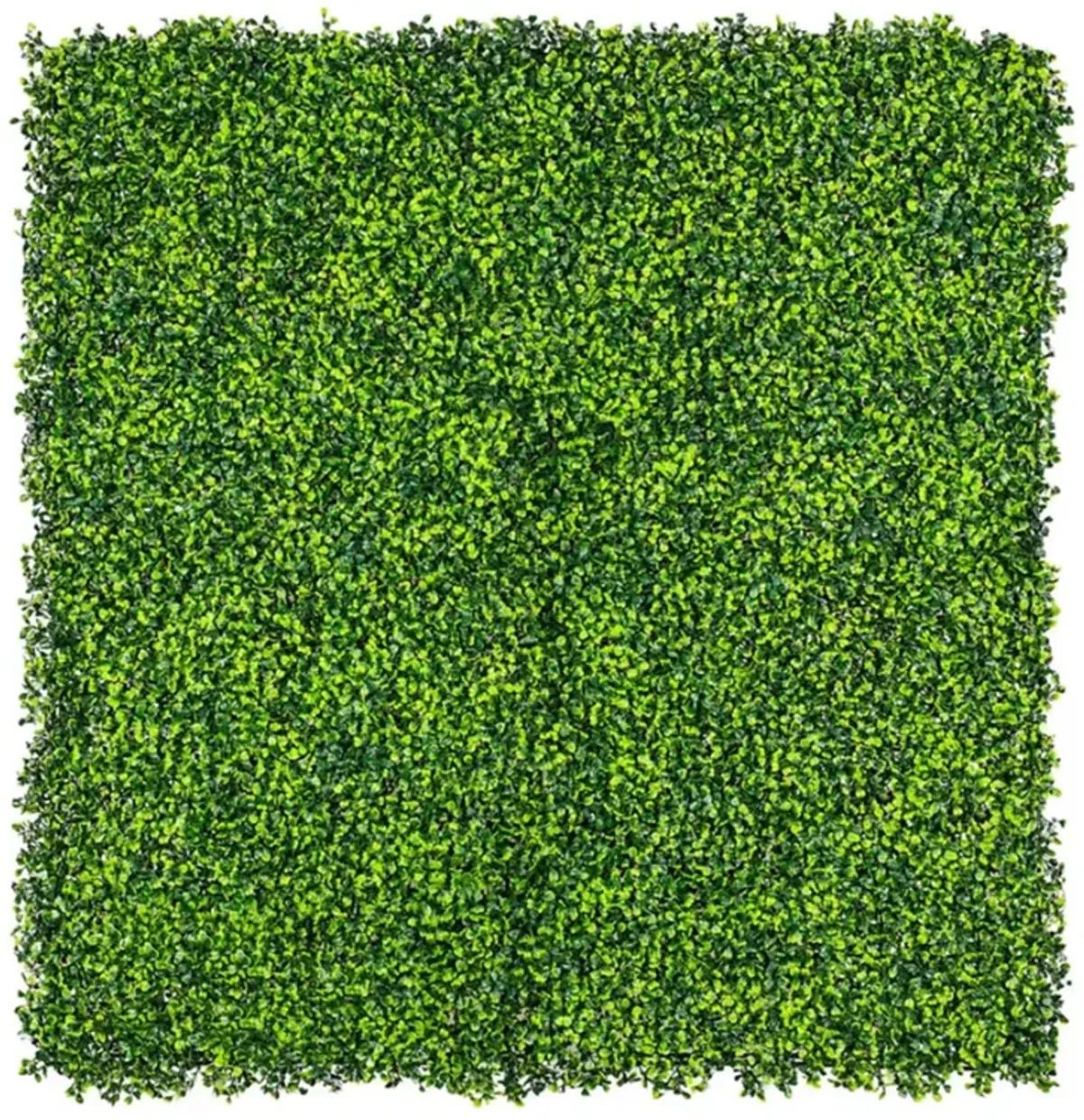 Artificial Mixed Boxwood Hedge Panel Wall 40" x 40" 11SQ FT Commercial Grade UV Resistant