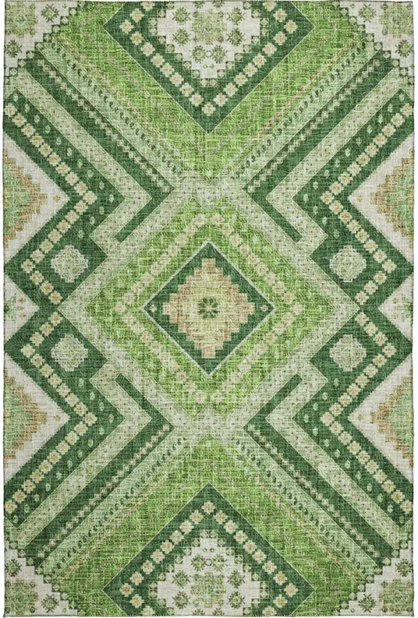 Portico PO5 Green 30" x 46" Rug