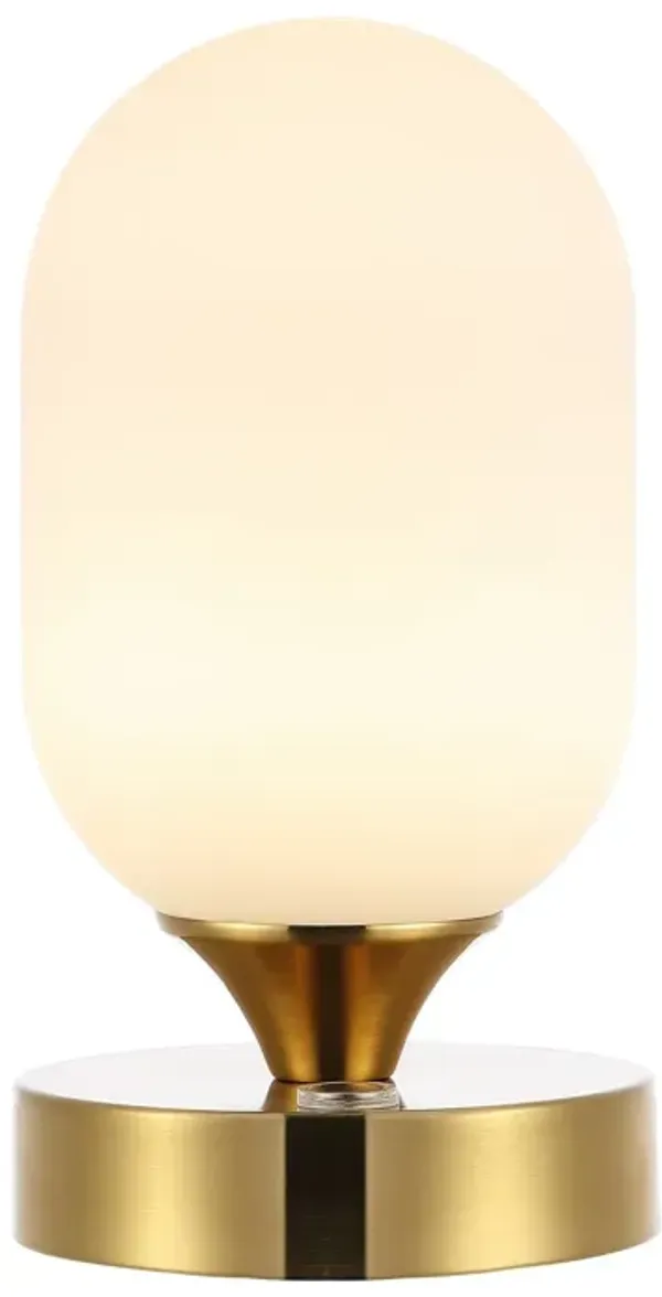 Eli Bohemian Farmhouse Iron Rechargeable Integrated LED Table Lamp