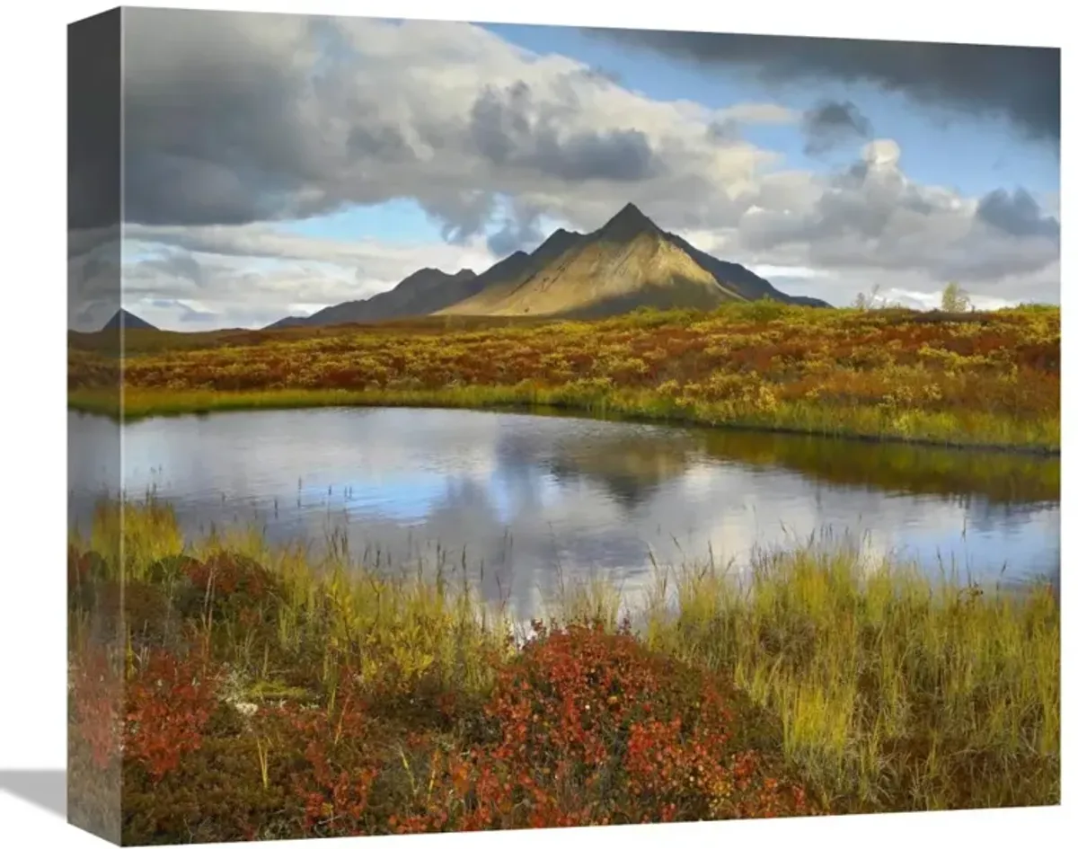 Pond and Ogilvie Mountains, Tombstone Territorial Park, Yukon, Canada-Canvas Art-16x13.76