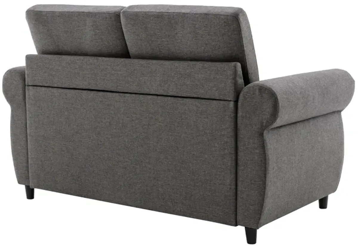 Merax Loveseat Sleeper Sofa Bed with Mattress