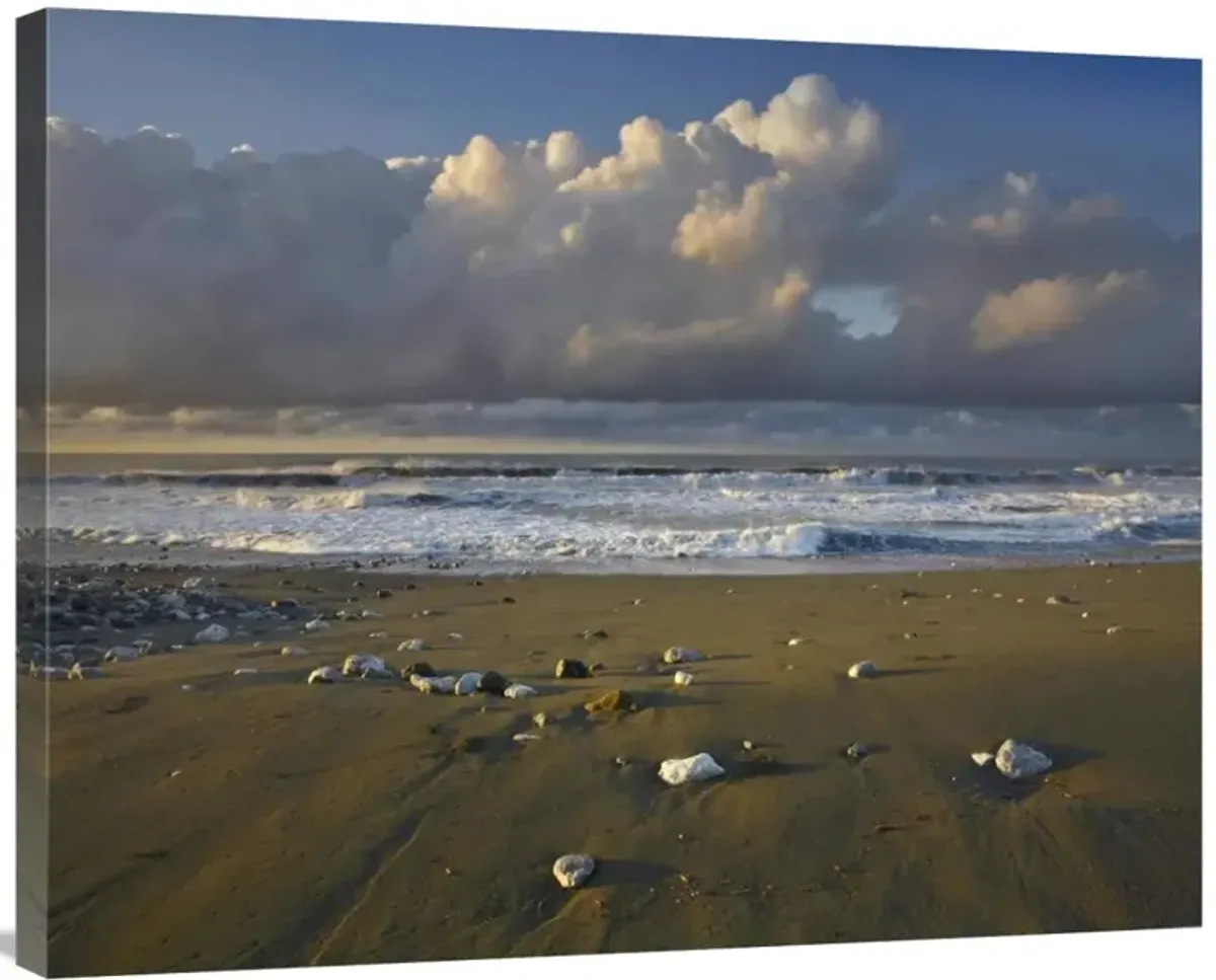Beach and waves, Corcovado National Park, Costa Rica-Canvas Art-35x28