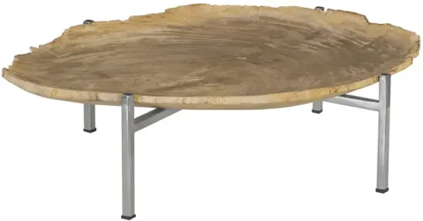 Petrified Wood Tray Table