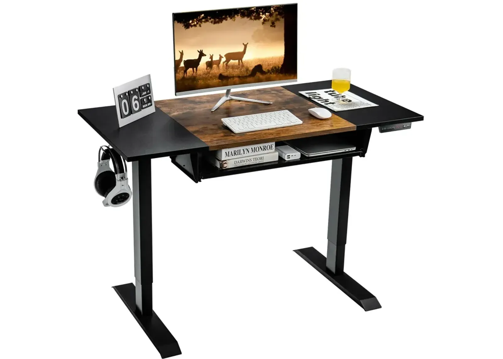 48 Inch Electric Sit to Stand Desk with Keyboard Tray