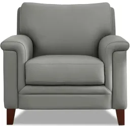 Silver Gray color