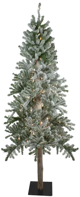 6' Pre-Lit Flocked Alpine Artificial Christmas Tree  Clear Lights