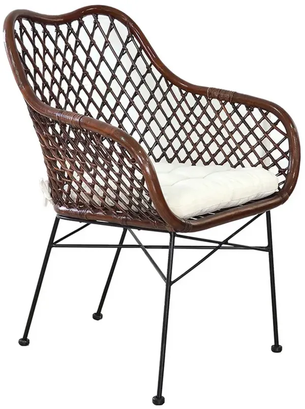 25 Inch Palapa Side Chair, Cushion, Rattan Cane, Iron Legs, White, Black - Benzara