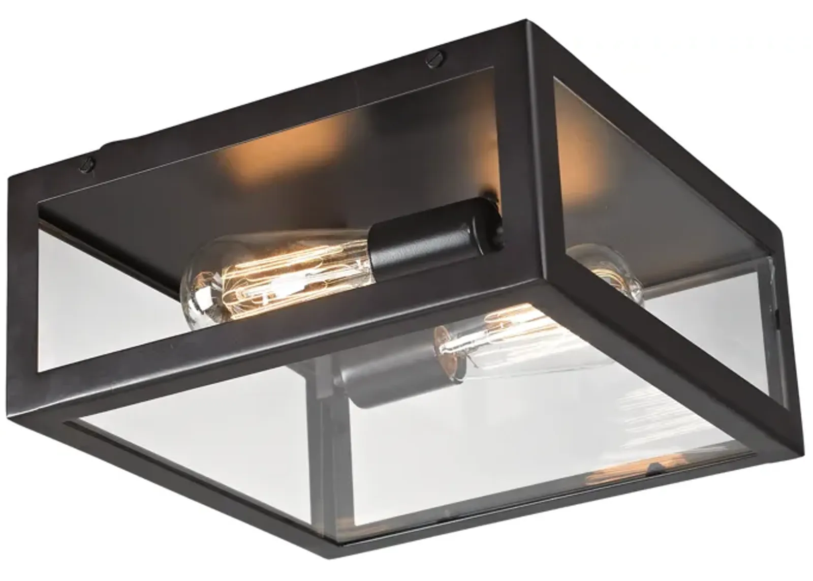 Parameters 12'' Wide 2-Light Flush Mount