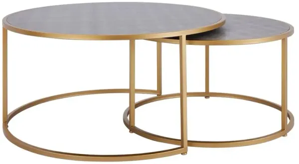 Anza Faux Shagreen Nesting Coffee Table Set of 2