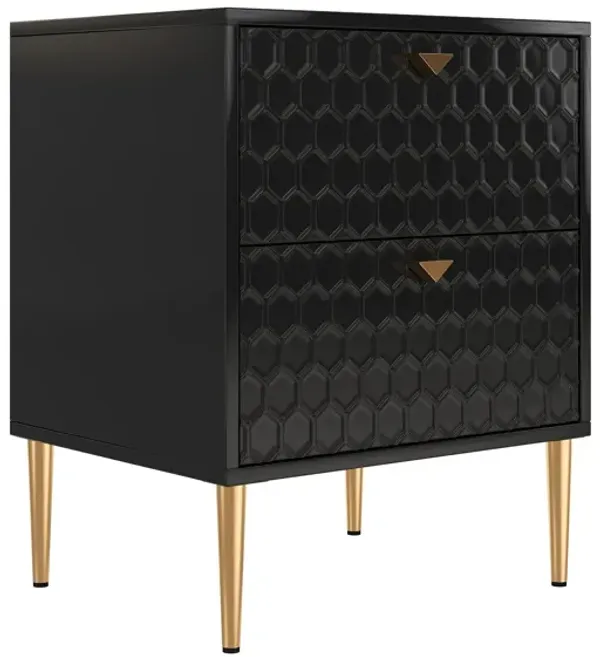 Black Wood Nightstand Accent Storage Cabinet with 2-Drawer Chest