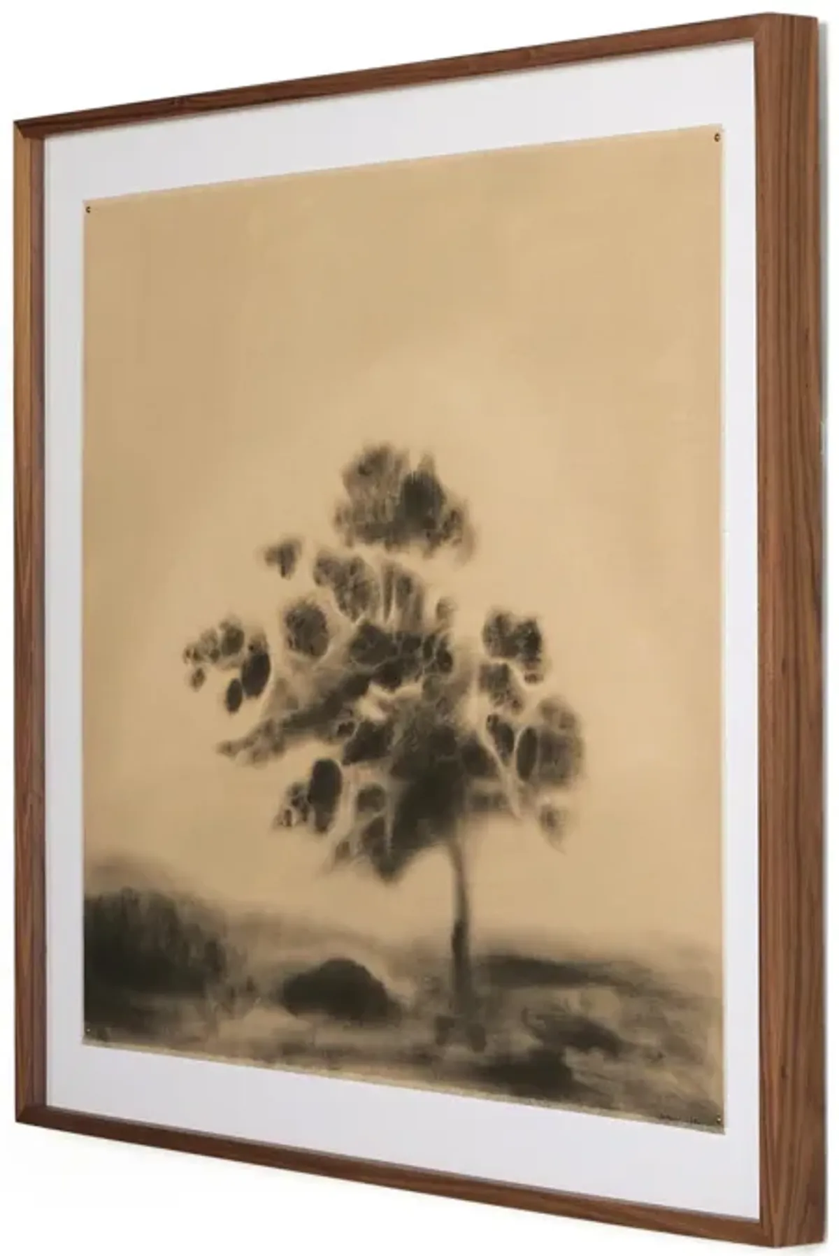 Serenity By Chelsea Fly