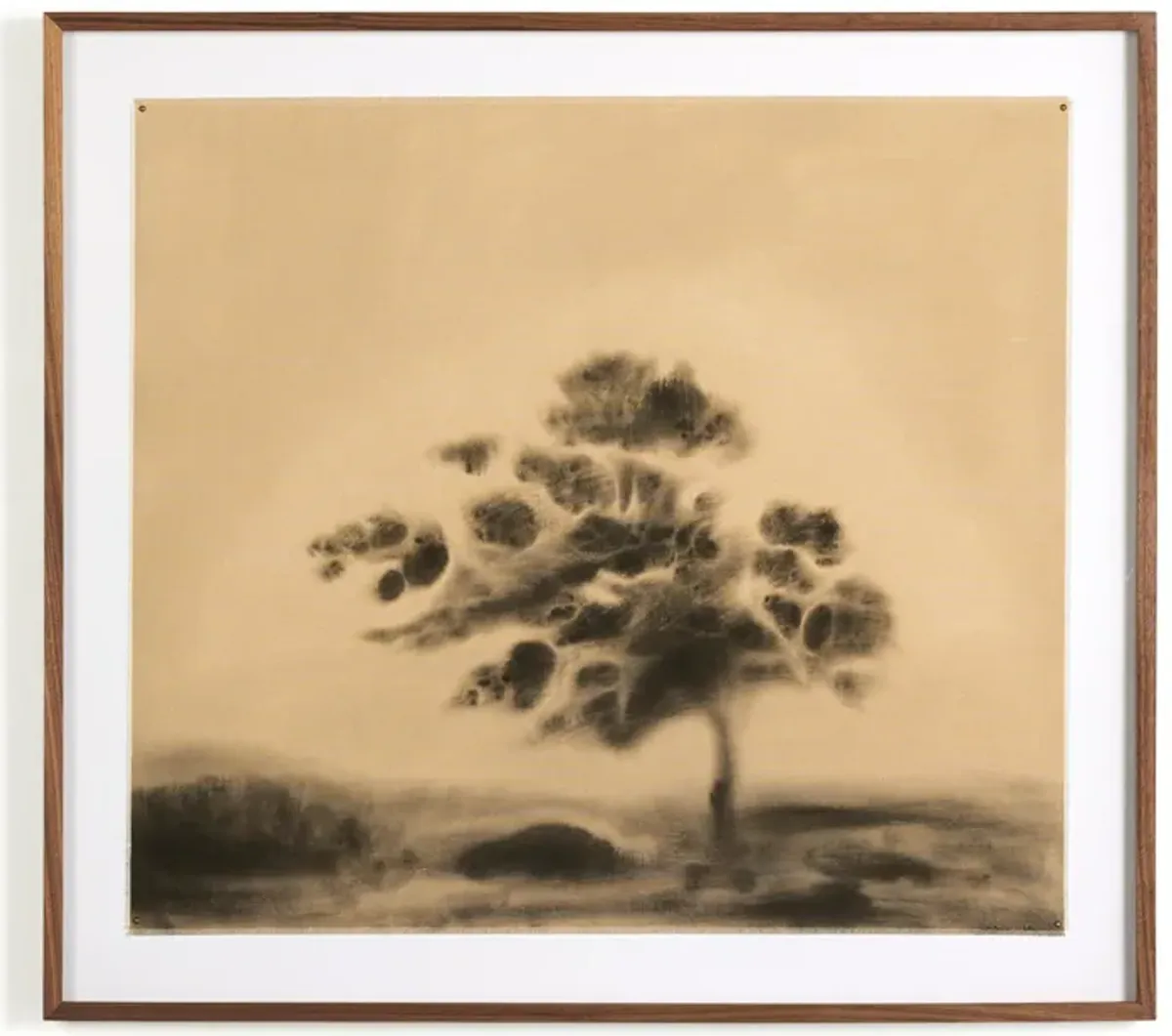 Serenity By Chelsea Fly