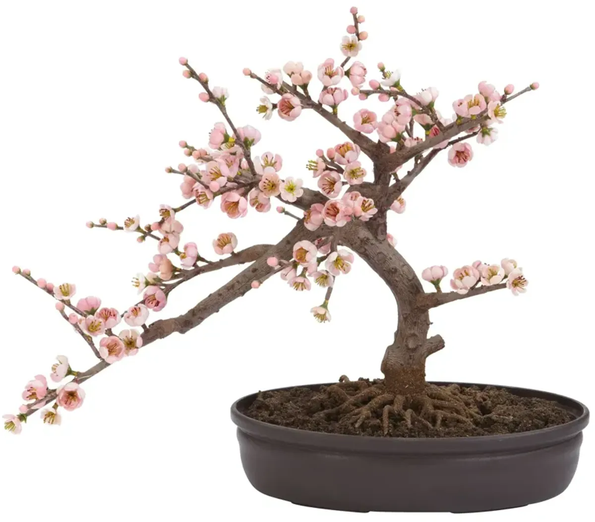 Hivvago Cherry Blossom Bonsai Silk Tree