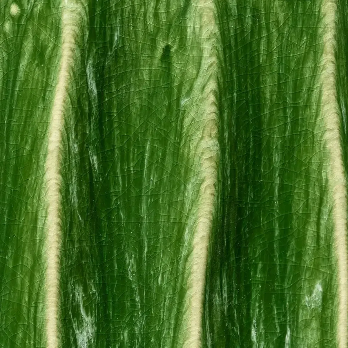 Algae Stool