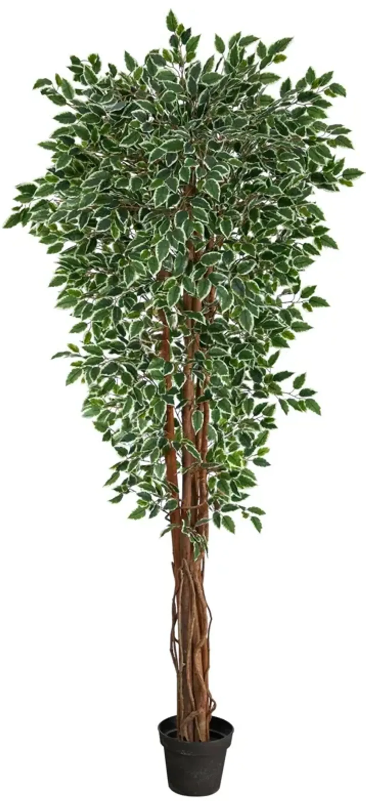 Nearly Natural 70-in Variegated Ficus Tree UV Resistant (Indoor/Outdoor)
