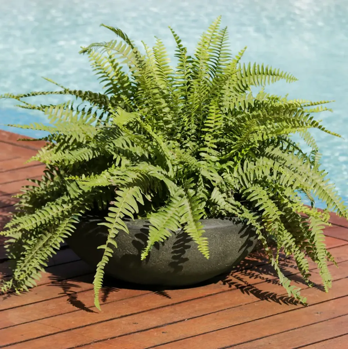 Sunnydaze Percival Round Polyresin Planter with UV-Resistance - Sable