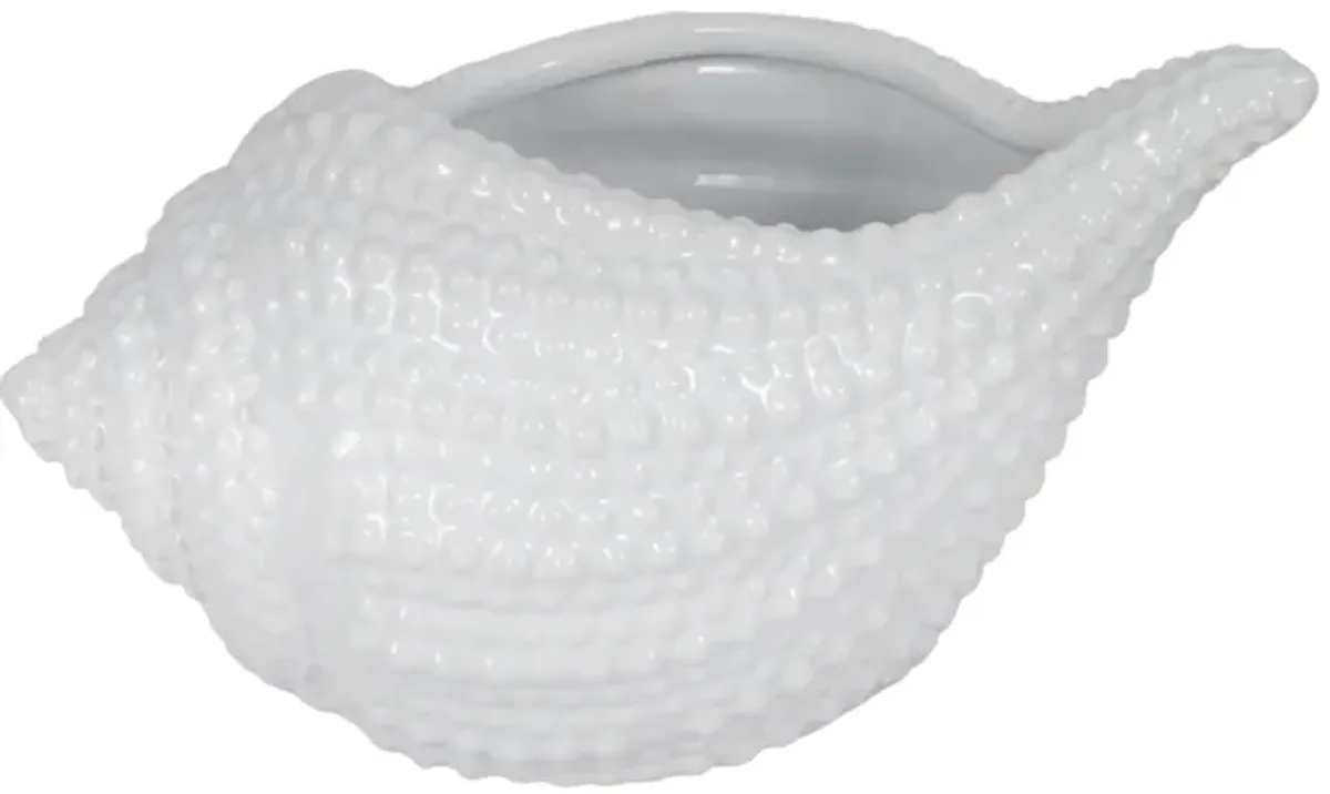 Seashell Pattern Planter