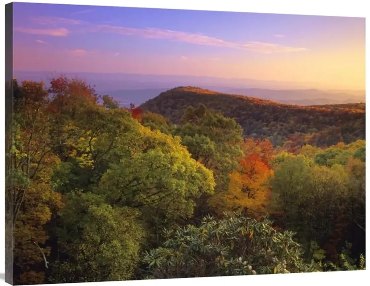 Blue Ridge Mountains with deciduous forests in autumn, North Carolina-Canvas Art-40x30