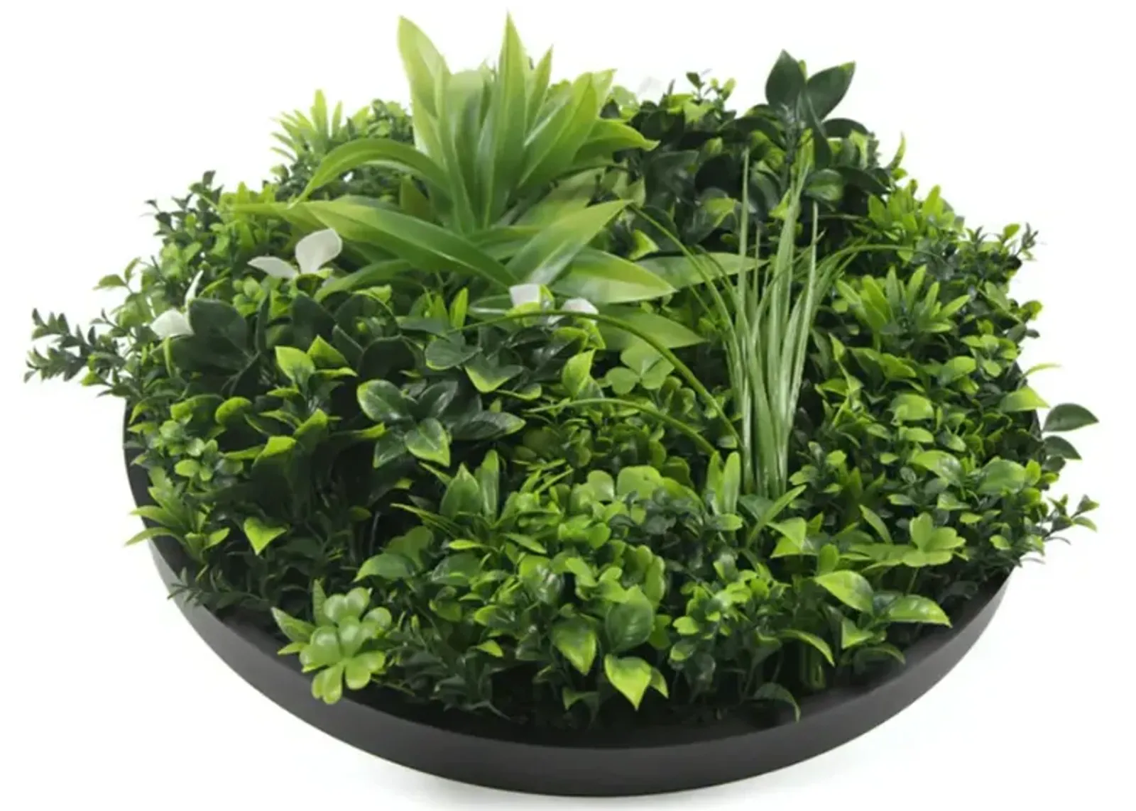 Luxury Artificial Green Wall Plant Wall Circle 30" Black Frame UV Resistant