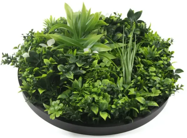 Luxury Artificial Green Wall Plant Wall Circle 30" Black Frame UV Resistant