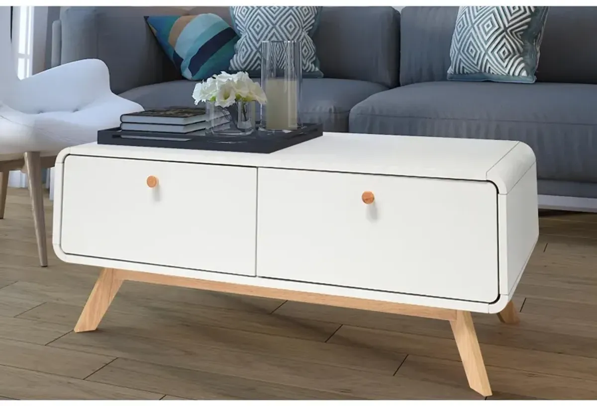 Leva Scandinavian Style TV Stand with 2 Drawers