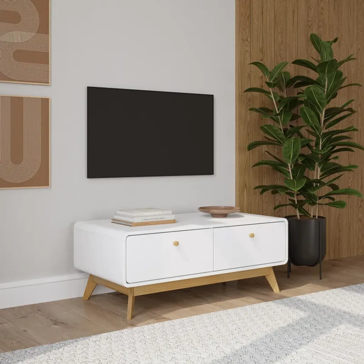 Leva Scandinavian Style TV Stand with 2 Drawers