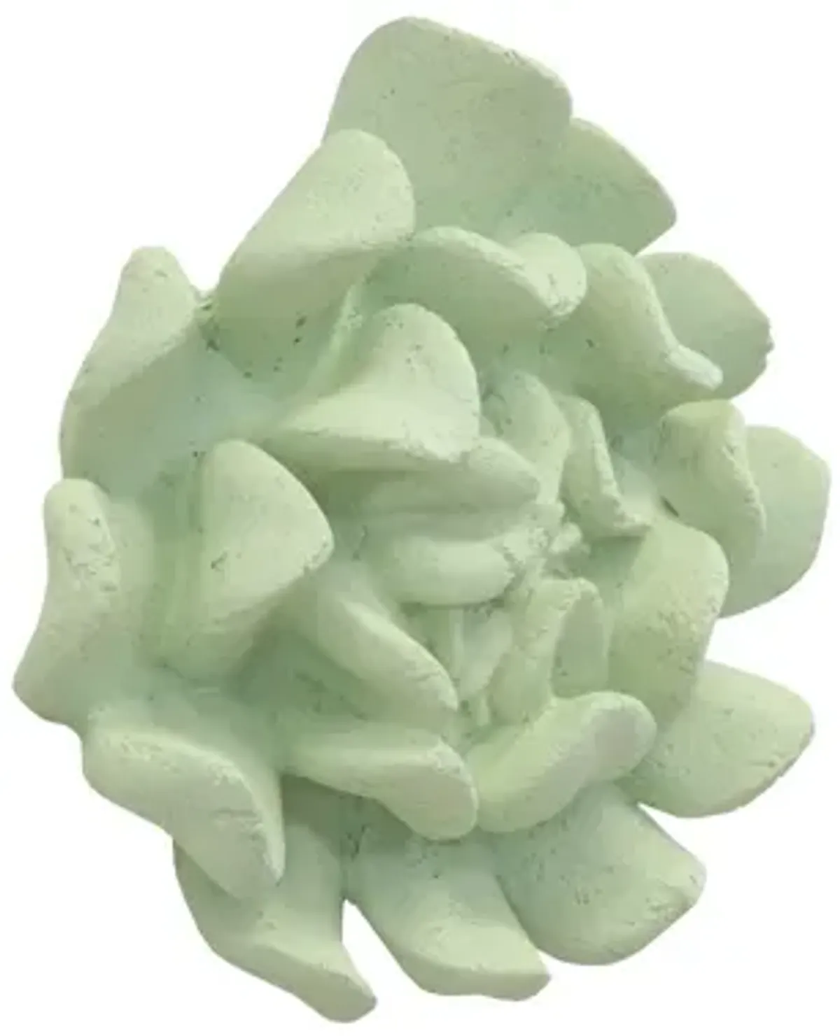 Topsy Turvy Succulent Wall Art in Jade