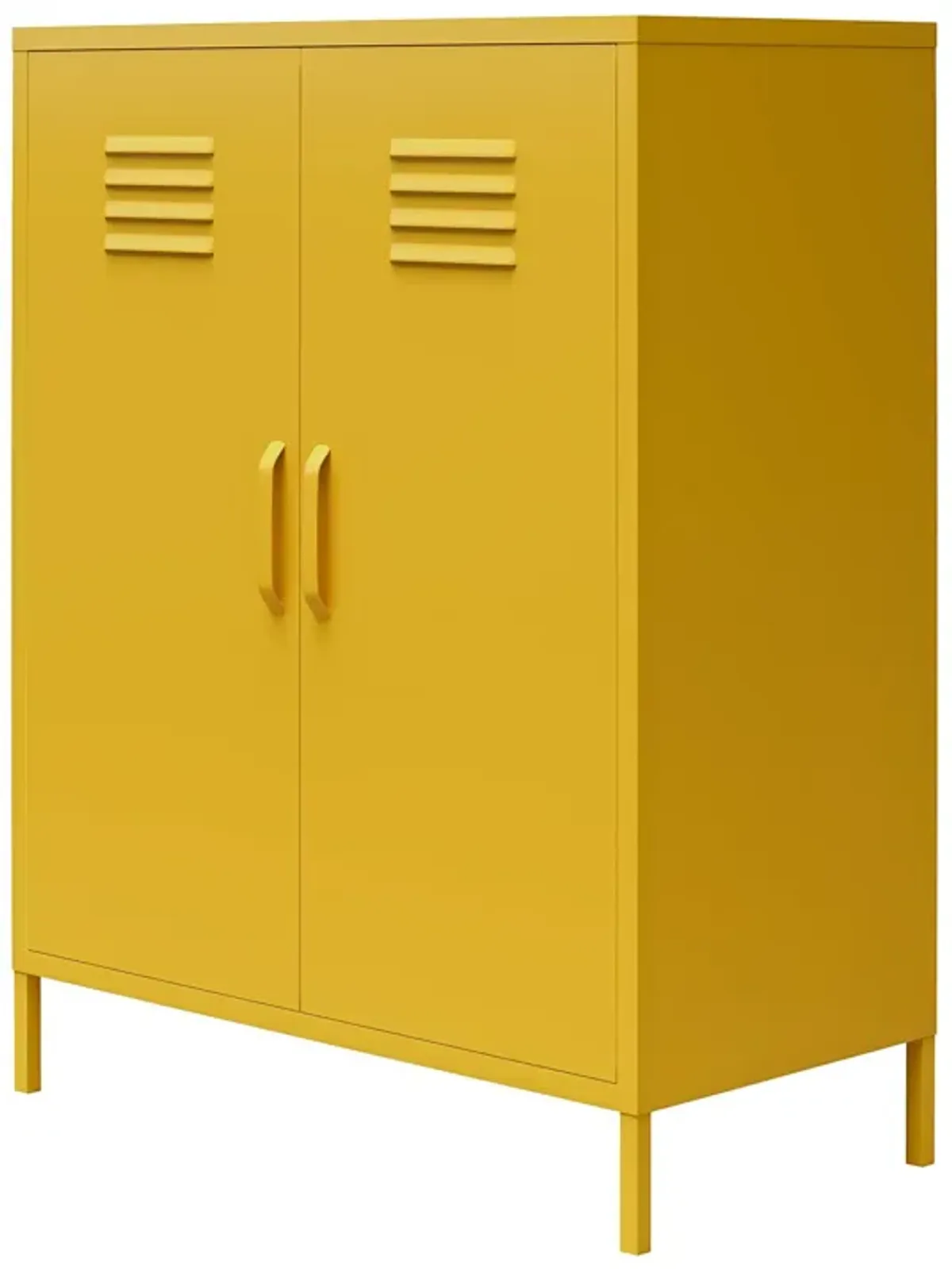 Shadwick 2 Door Metal Locker Storage Cabinet