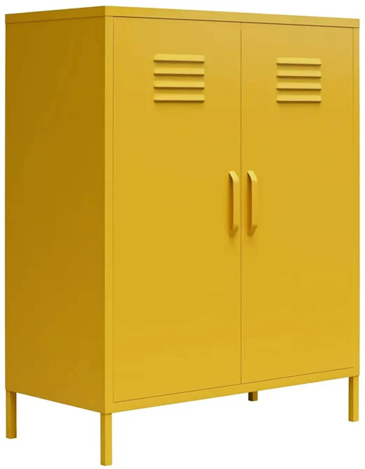 Shadwick 2 Door Metal Locker Storage Cabinet