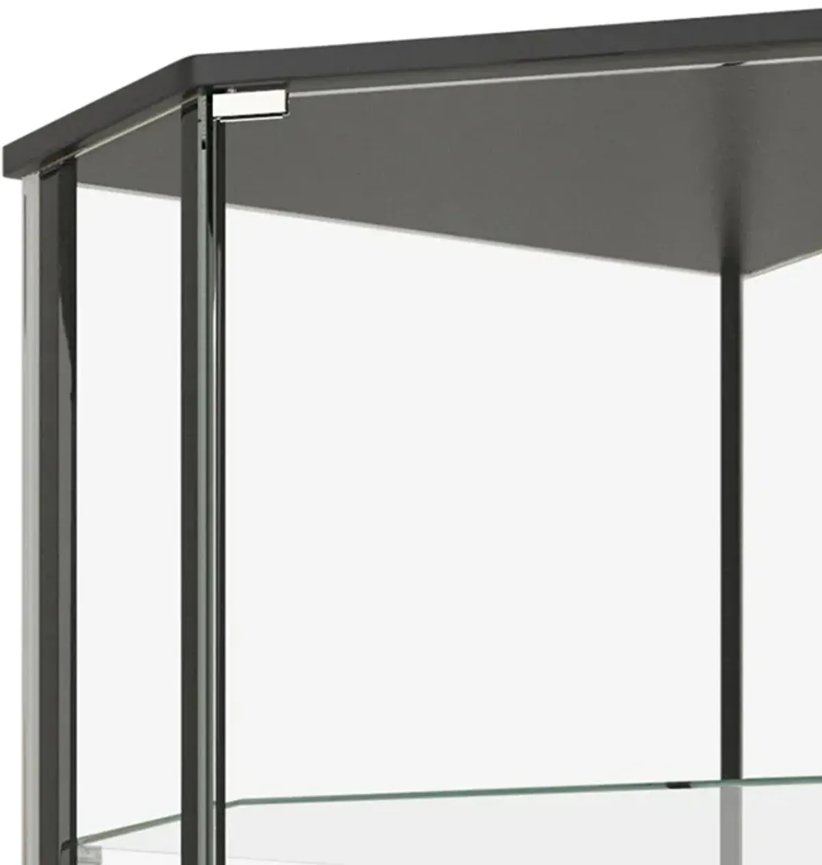 Metal Curio Cabinet with 1 Door and 3 Glass Shelves, Black-Benzara