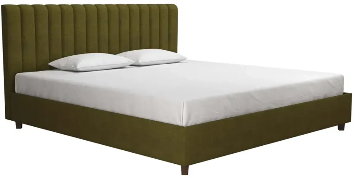 Novogratz Brittany Upholstered Bed