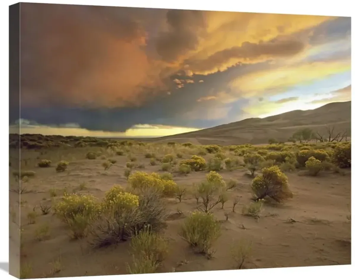 Storm clouds over Great Sand Dunes National Monument, Colorado-Canvas Art-28x22