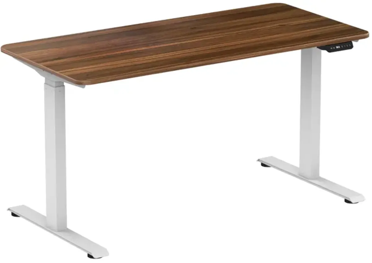 "Electric Standing Desk with Dual Motor Height Adjustable Sit Stand Desk Computer Workstation with USB Charge
" 
, White