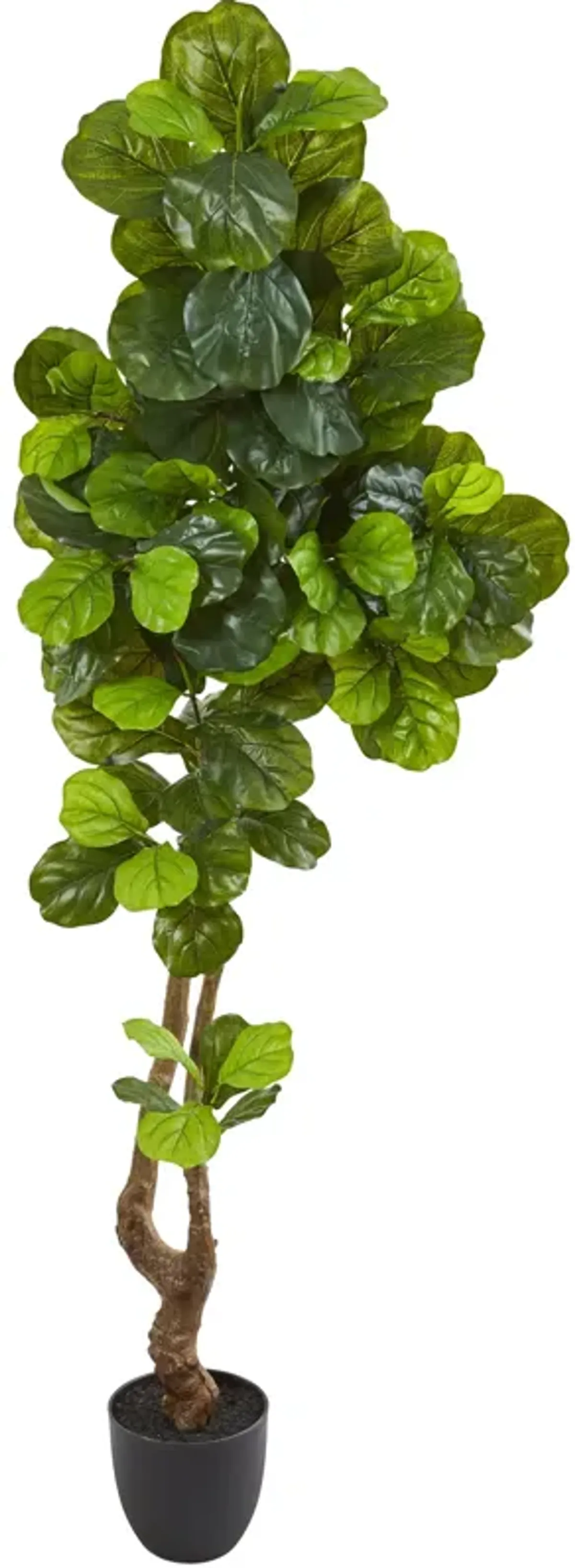 Hivvago 78 Inches Fiddle Leaf Artificial Tree (Real Touch)